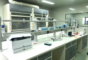 追夢人故事② 竹石生物 創(chuàng)始人欒圖 推進智慧農(nóng)業(yè),給百姓安全餐桌