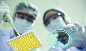 新坤生物科技 聚焦糖尿病潛伏期的體外診斷治療