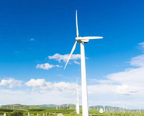 風(fēng)力發(fā)電的環(huán)保悖論 清潔能源為何可能加劇全球變暖？